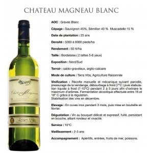 Château MAGNEAU 2019, Graves Blanc Sec - 0.75 l
